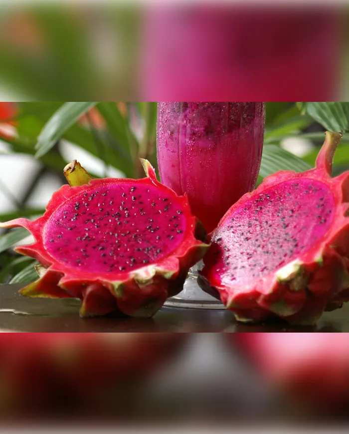 2 Adet Ejder Meyvesi (Pitaya) görsel 2