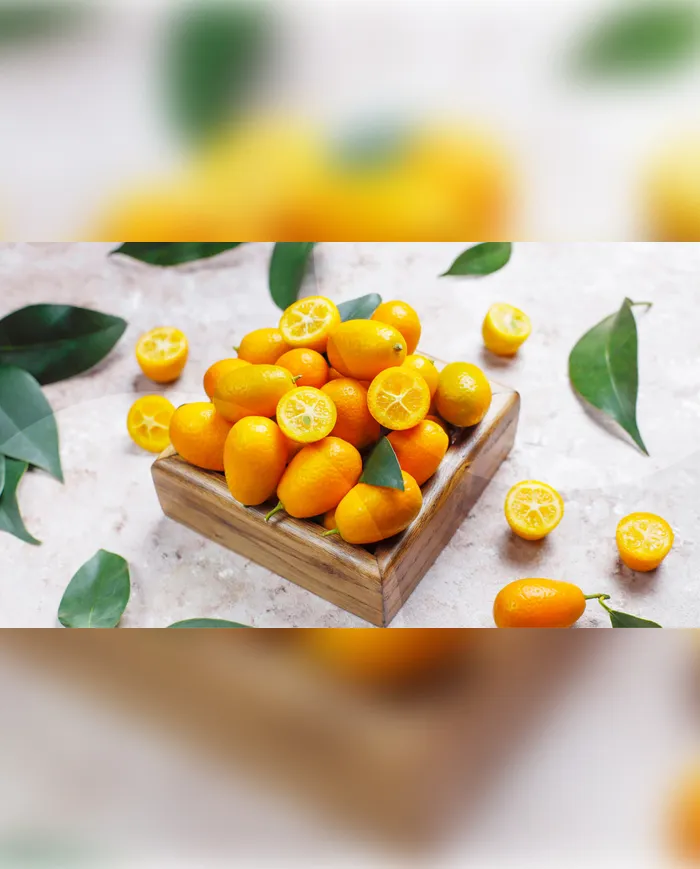 1 KG Kumkuat (Kamkat) görsel 2