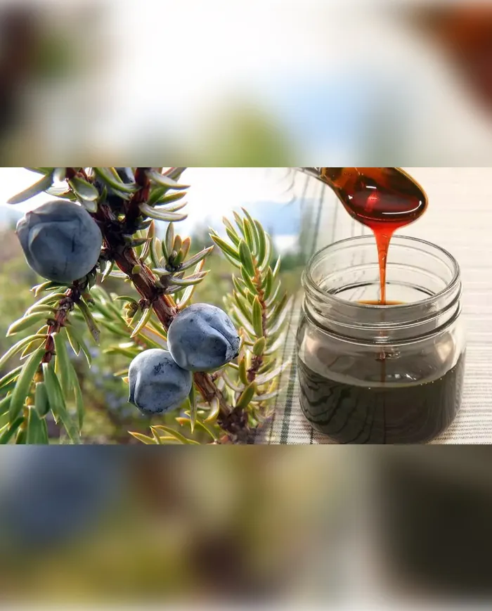 1 KG El Yapımı Andız Pekmezi