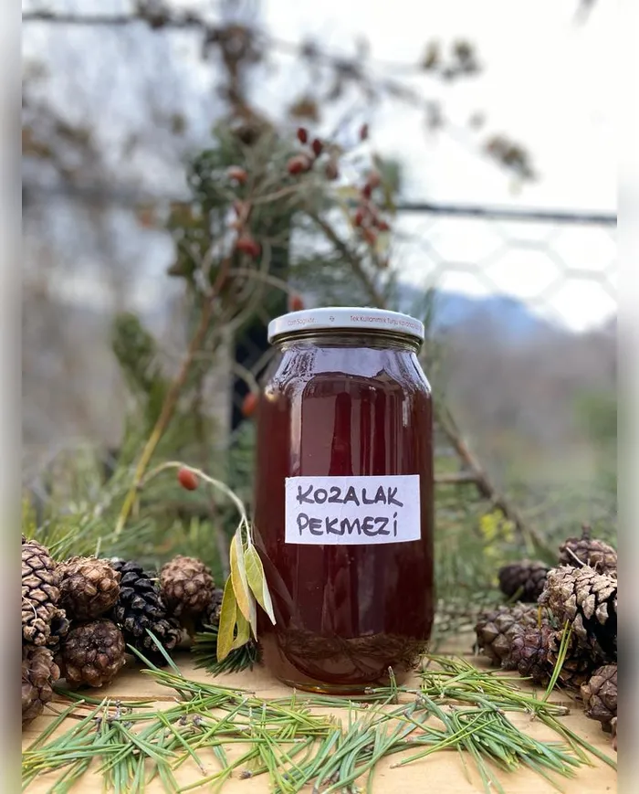 1 KG El Yapımı Çam Kozalağı Pekmezi görsel 2
