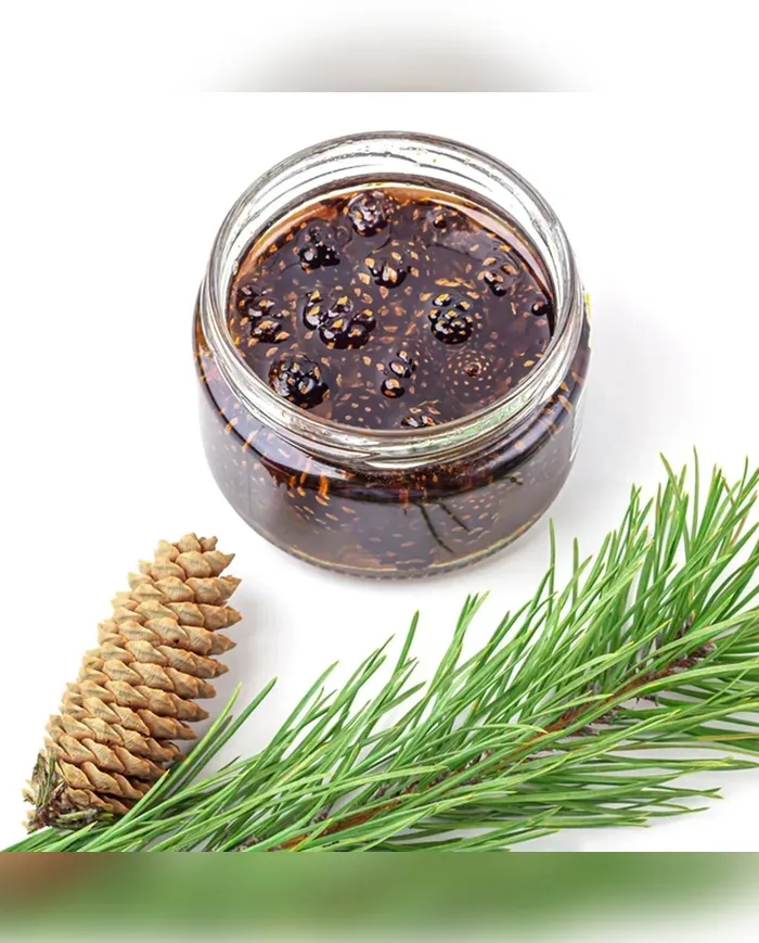 1 KG El Yapımı Çam Kozalağı Pekmezi