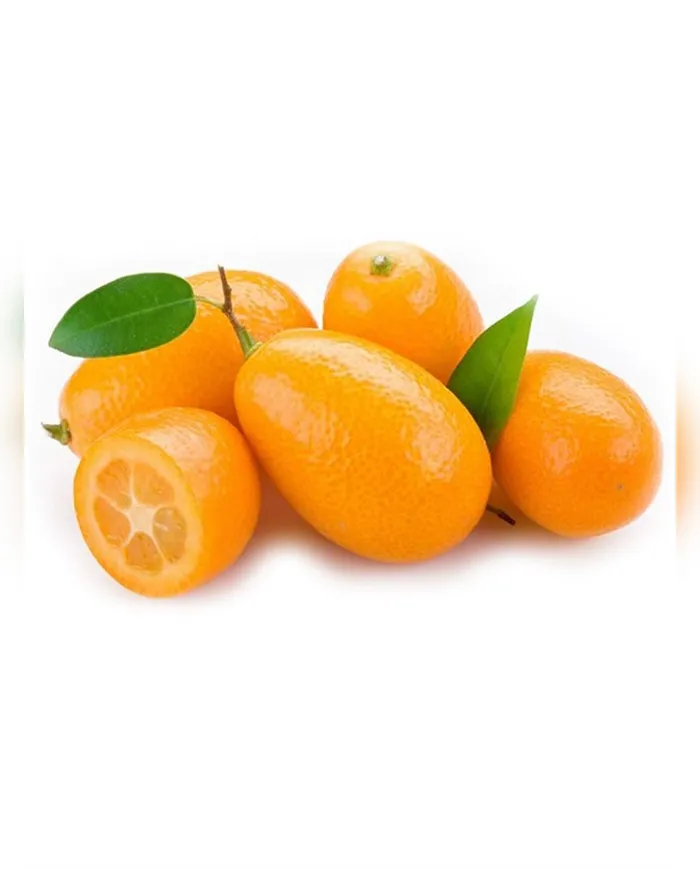 1 KG Kumkuat (Kamkat)