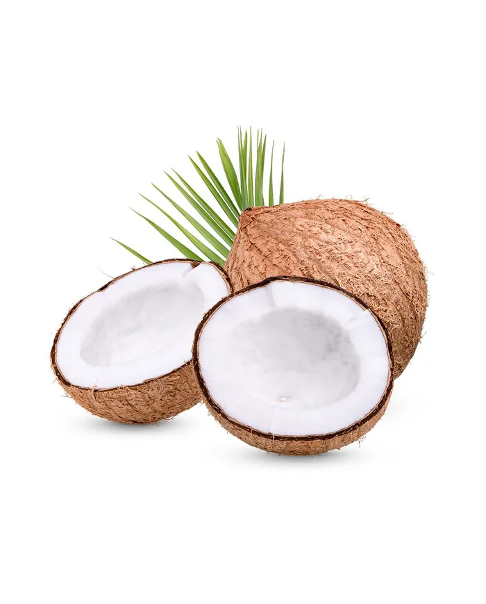 1 Adet Hindistan Cevizi — Taze