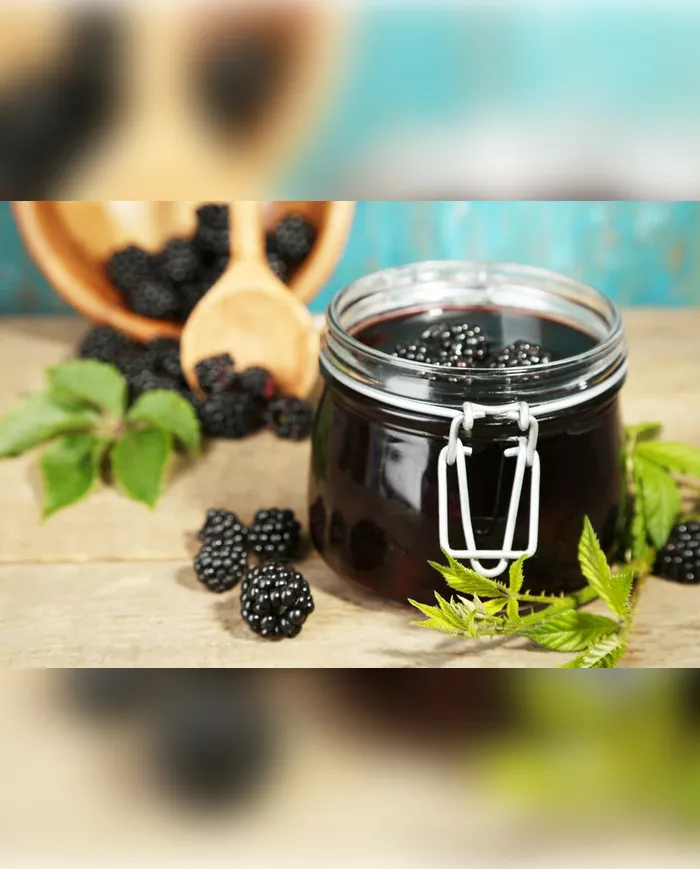 1 KG El Yapımı Karadut Pekmezi