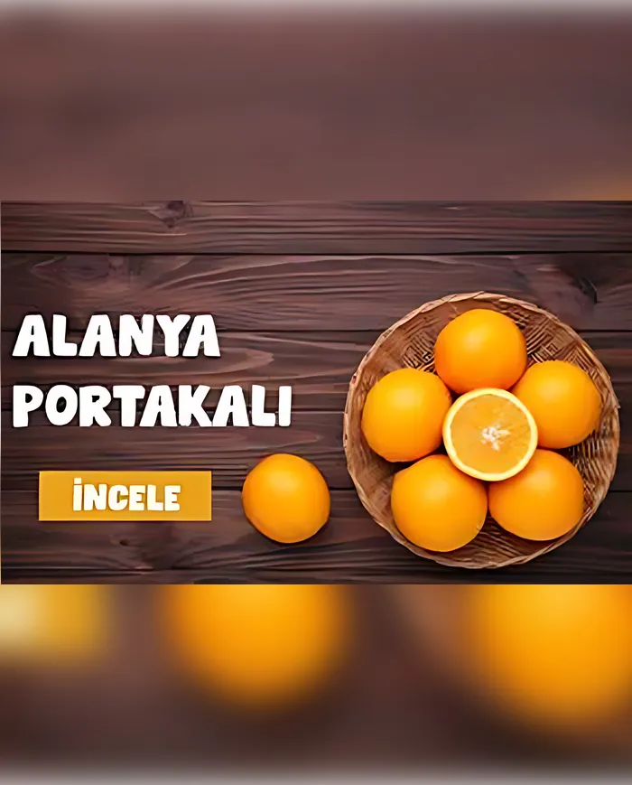 1 KG Taze Portakal — Alanya