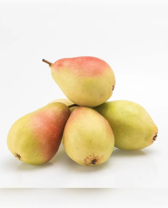 1 KG Santa Maria Armut