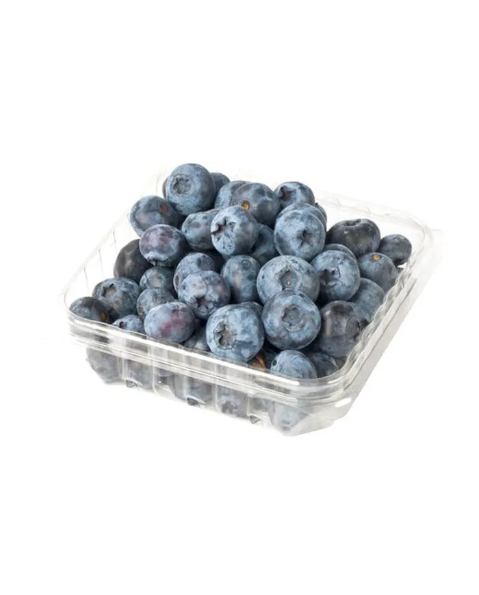 1 Kutu 125gr Yaban Mersini (Blueberry)